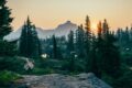 Random Forest in Python – Tutorial Machine Learning con codice